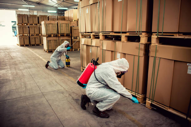 Best Affordable Pest Control Services  in Gardner, KS