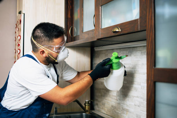 Best Pest Inspection Near Me  in Gardner, KS
