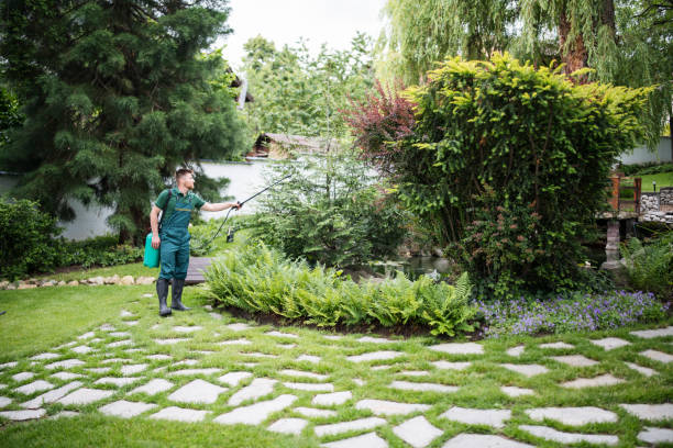 Best Affordable Pest Control Services  in Gardner, KS
