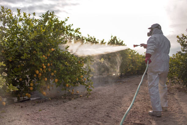 Best Emergency Pest Control  in Gardner, KS