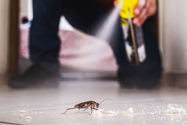 Best Local Pest Control Services  in Gardner, KS