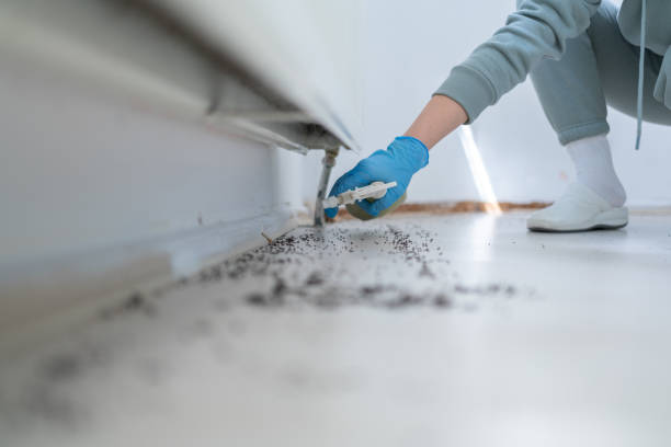 Best Flea Control Services  in Gardner, KS