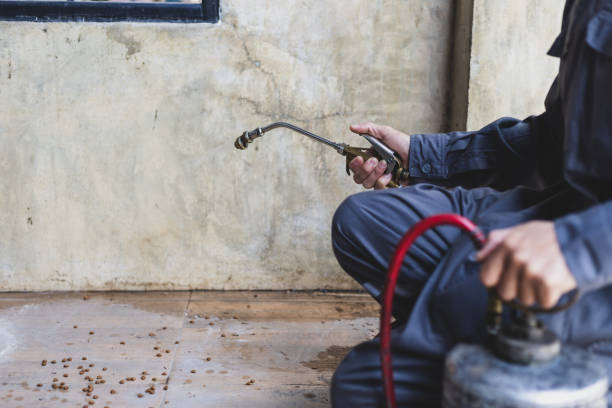 Best Termite Control Services  in Gardner, KS
