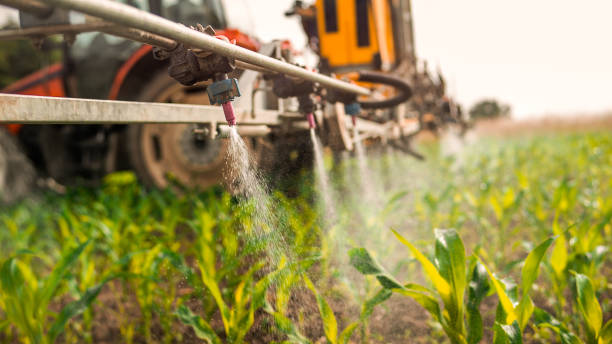 Reliable Gardner, KS Pest Control Solutions